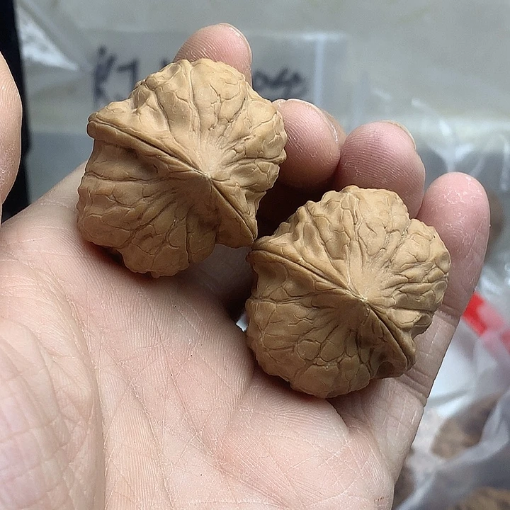 吊坠文玩核桃33 36 龟甲文