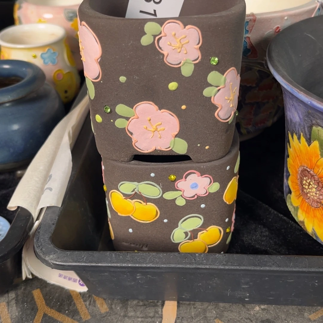 花***时131多肉花盆   2个