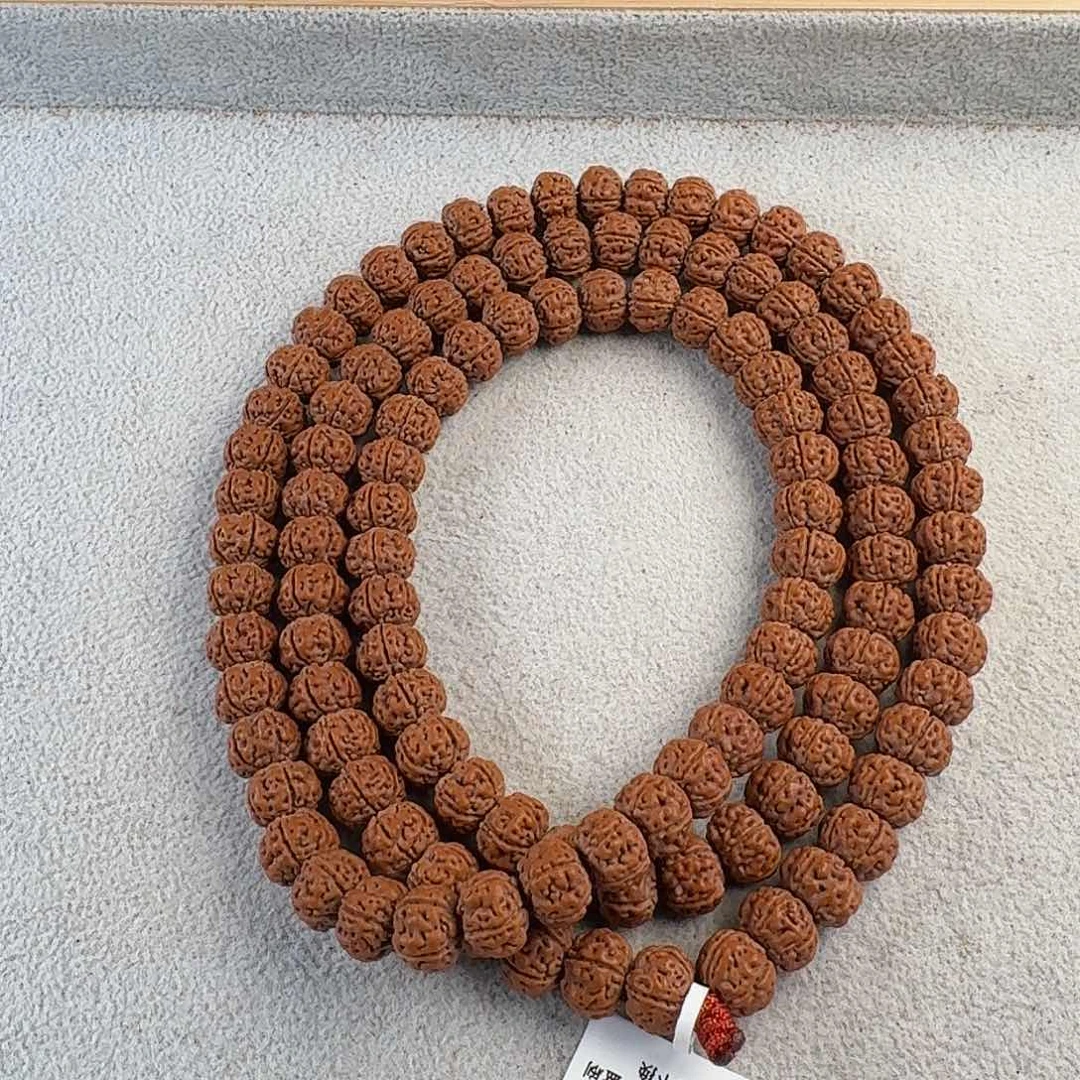 金刚菩提吊坠知**一头货老树王