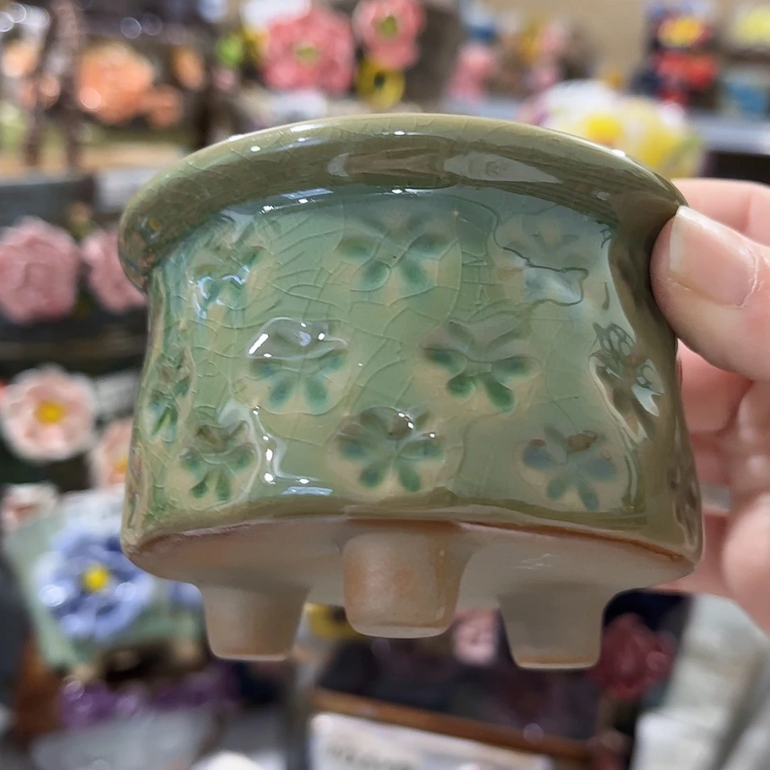 【闪购商品】红陶福利