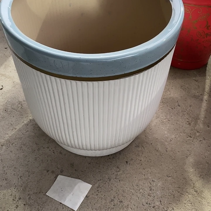 我是一只小小鸟地域鬼的人生观价值观
