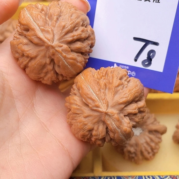 把件文玩核桃念* 文玩核桃霸王龙8