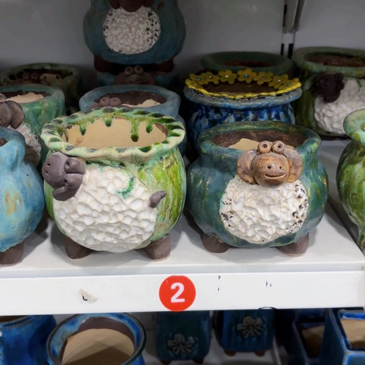 红陶内敛的人是不可能有