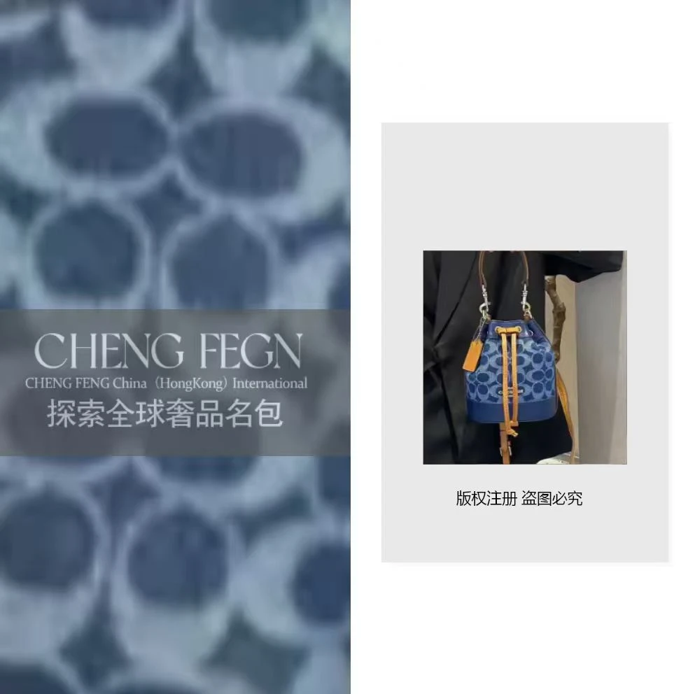B197乘风· 探索全球奢品名包 【水桶包】CH016