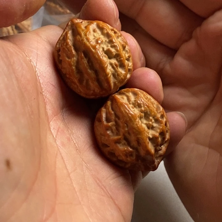 文玩核桃吊坠新号首播福利不停