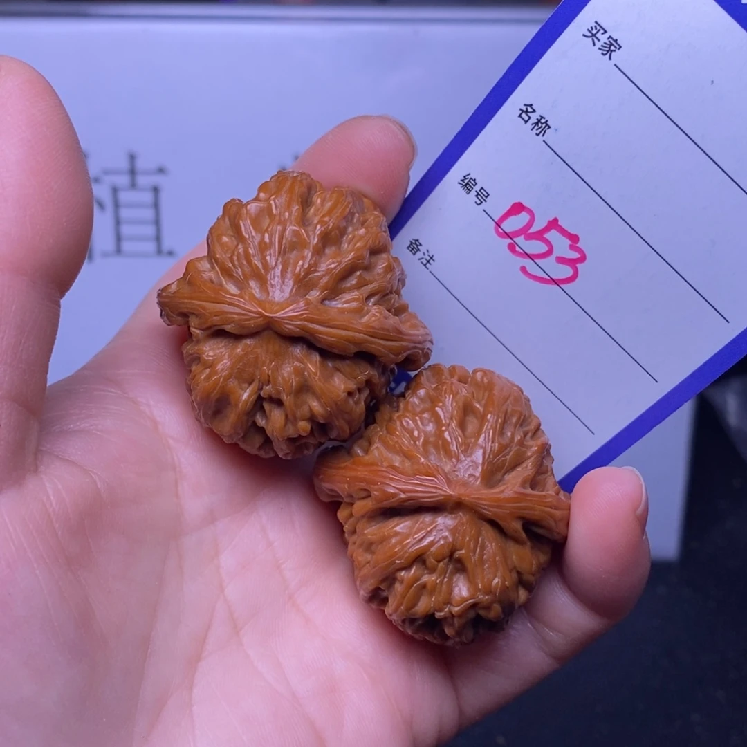 把件文玩核桃053/39.5白狮子