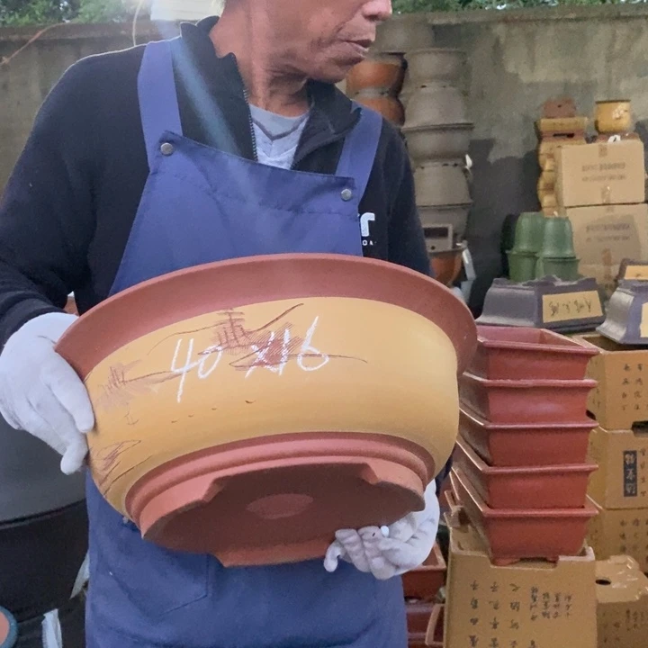紫砂花盆紫砂花盆盆栽花卉苗木种植