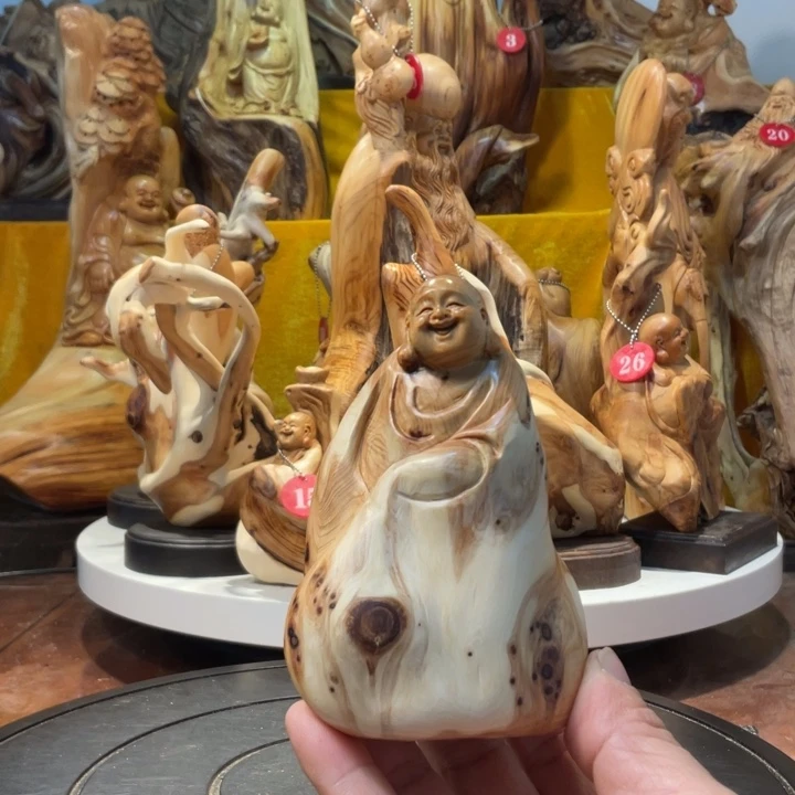 柏木（崖柏）崖柏  弥勒