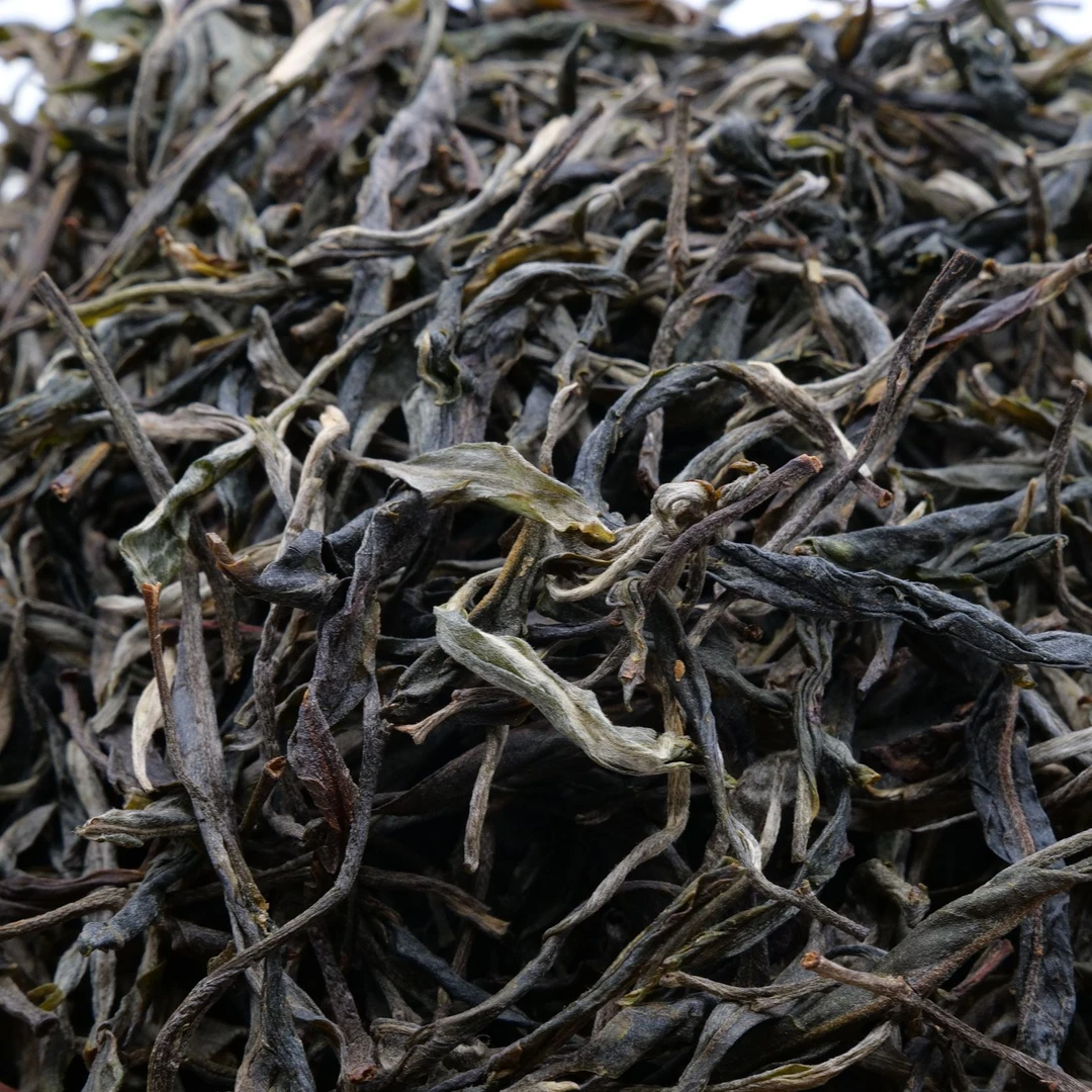 【单株品鉴装，拆封不退】豆腐寨单株  2025年 (春)  生茶 散料100克