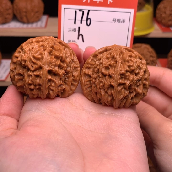 核桃41白狮子176号