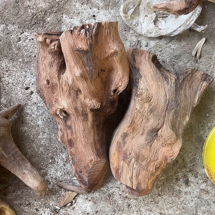 香榧木亲亲亲亲亲亲