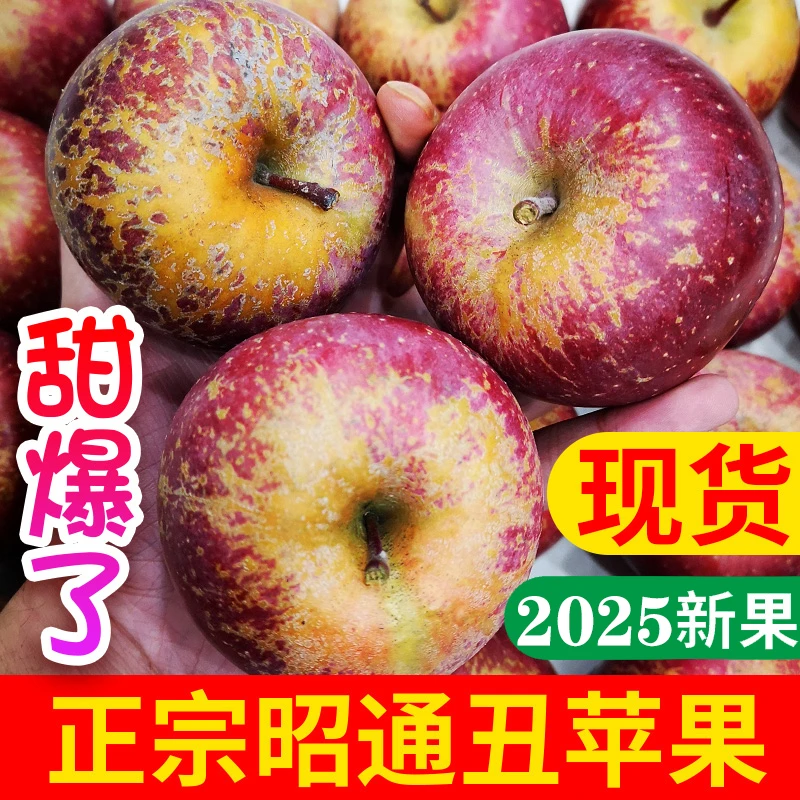 盛果邻 现摘云南昭通冰糖心丑苹果脆甜爽口农家新鲜红富士苹果
