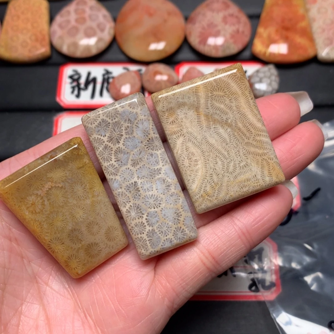 【闪购商品】硅化玉颈饰未镶嵌＆*