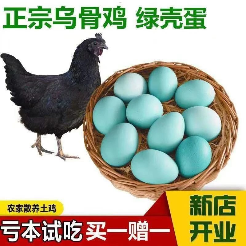 【助农】新鲜整箱绿壳蛋乌鸡蛋山林散养土鸡蛋农家鸡蛋绿壳鸡蛋现