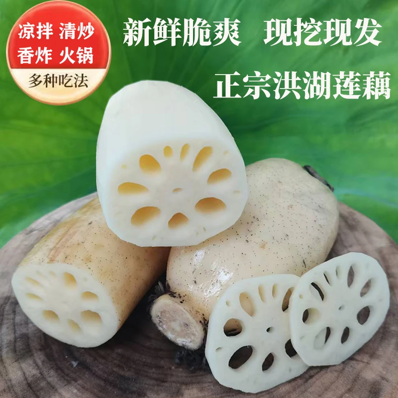 洪湖清水莲藕新鲜现挖精选中间段粗壮脆藕可清炒做藕夹卤藕糯米藕