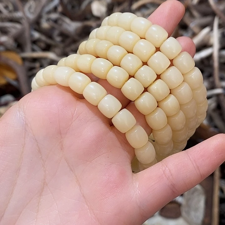 非金属驼骨驼骨驼骨