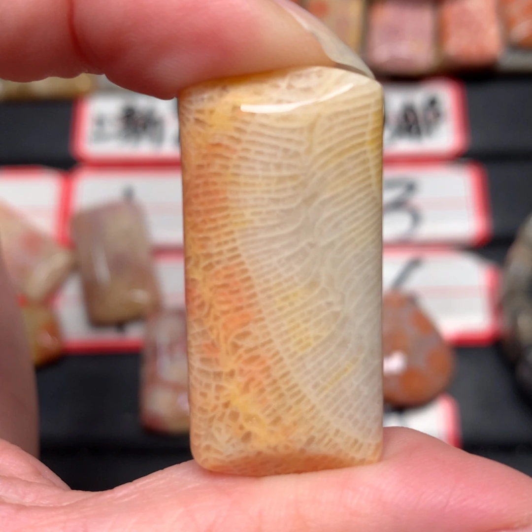 【闪购商品】未镶嵌颈饰硅化玉T***y