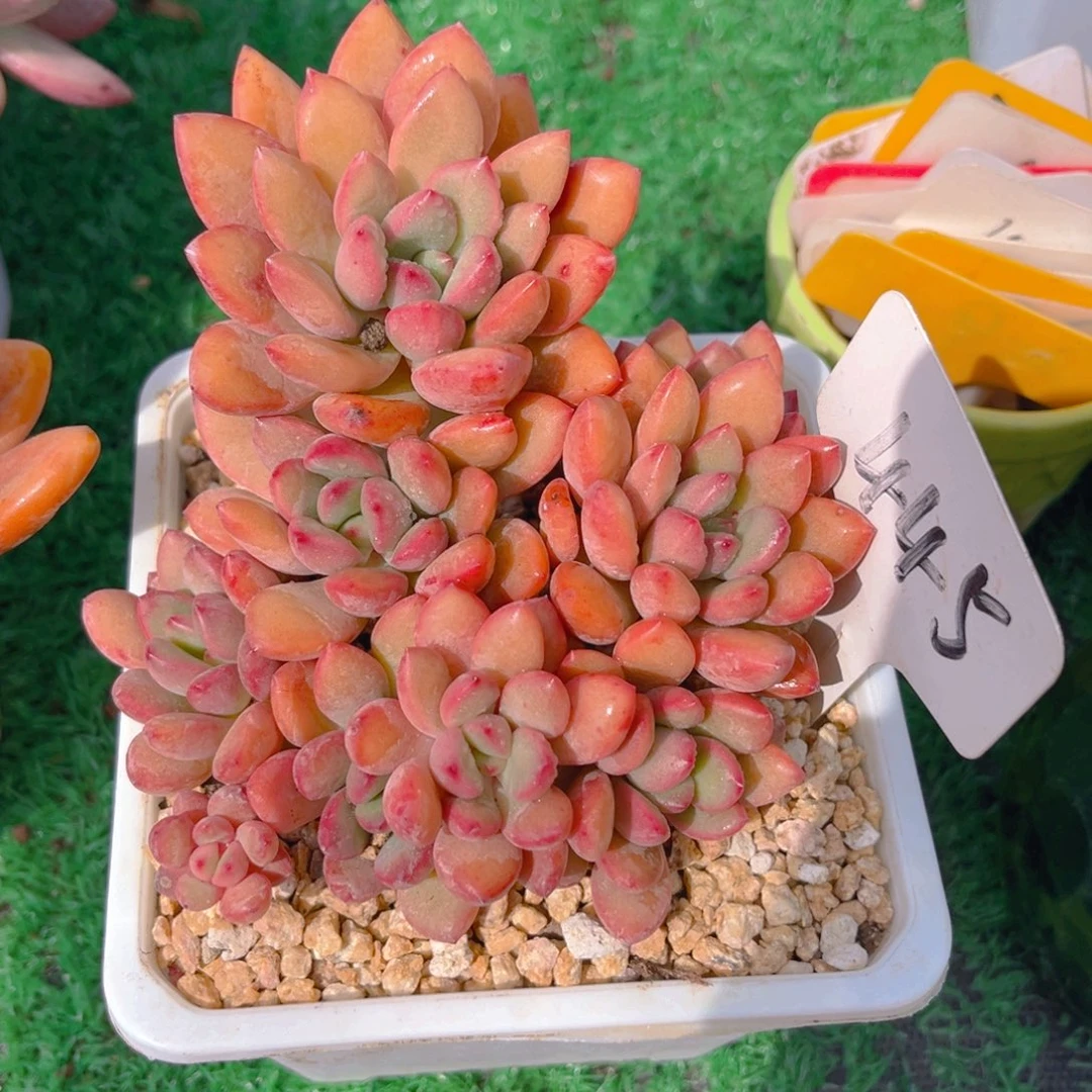 暖***W455fghhjjjjjjjj