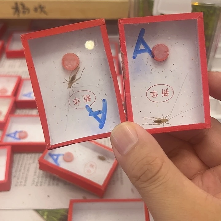 哈哈哈哈哈哈哈哈哈哈