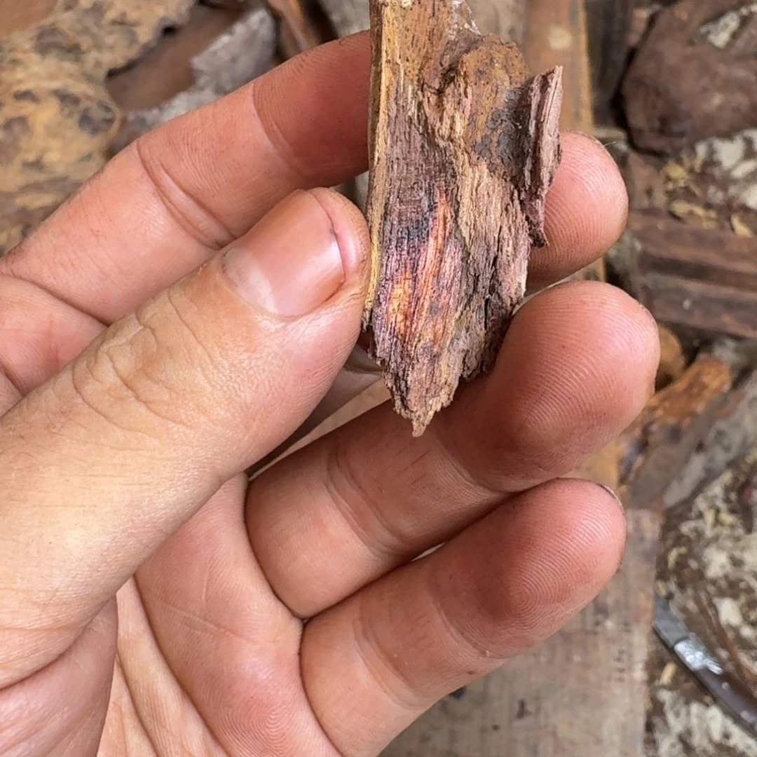 黄花梨/降香黄檀其他ヾ****ぐ原料定制