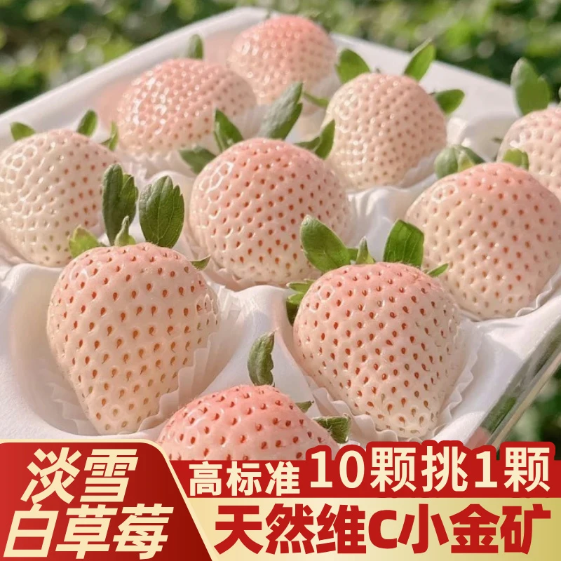 【JD空运】淡雪白草莓天使白色草莓香甜多汁当季新鲜水果礼盒