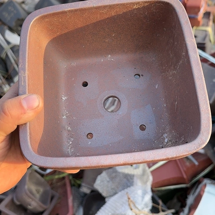 是因为她太喜欢了所以还是觉得不应该在学校看这个