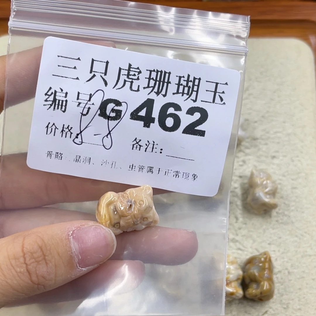行***知硅化珊瑚（珊瑚玉）未镶嵌h