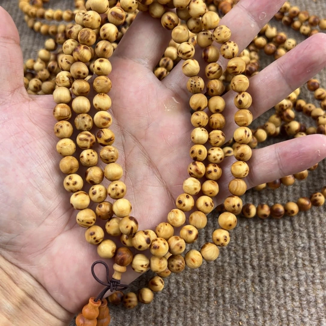 木太行崖柏0.8。。。。。。。。。。