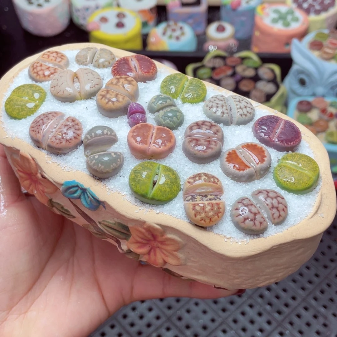 w7806 -零下地区拍保温箱-15支持寄养