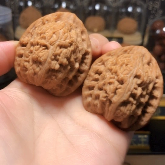 精品原桩：大僧帽