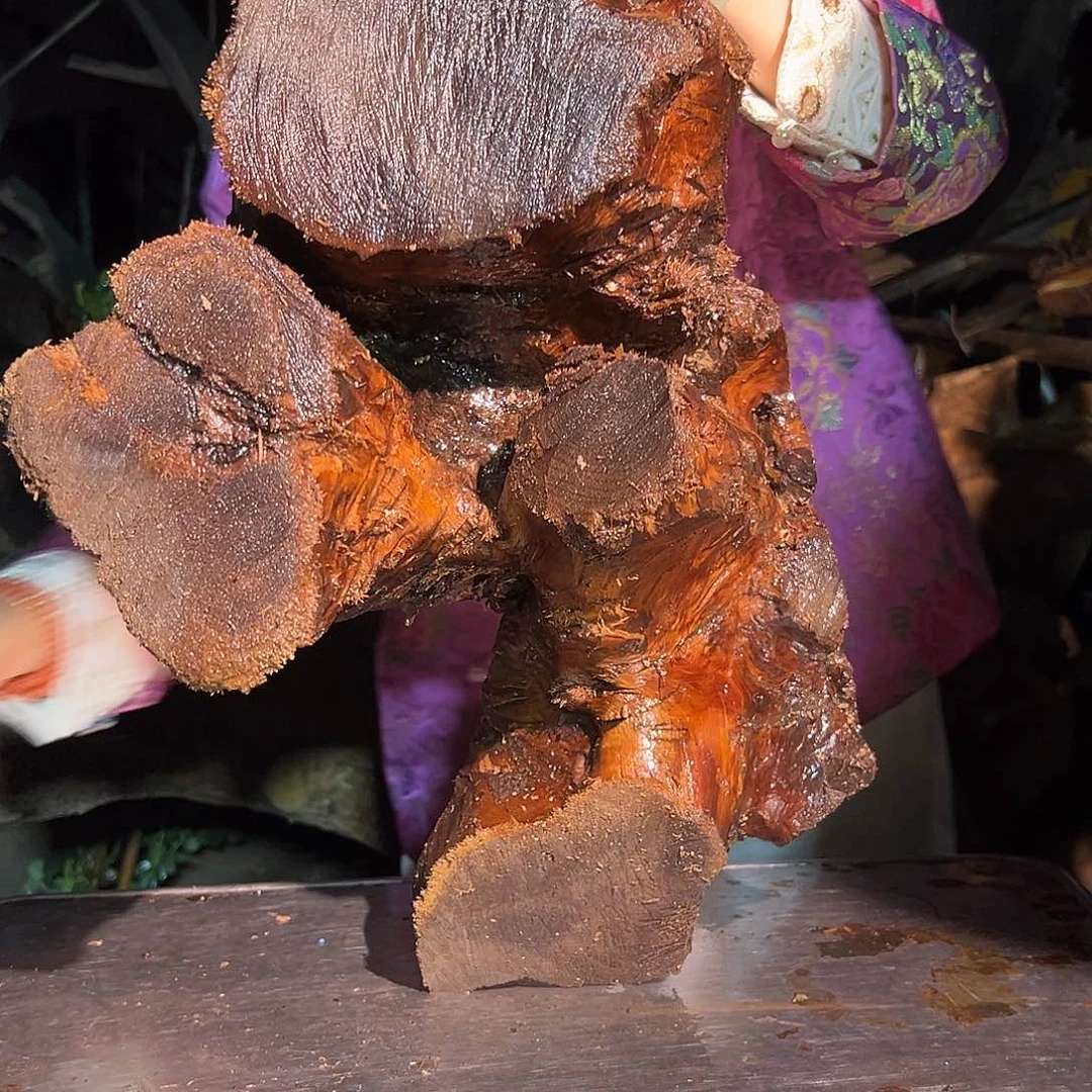 金丝楠悠*22222222222222