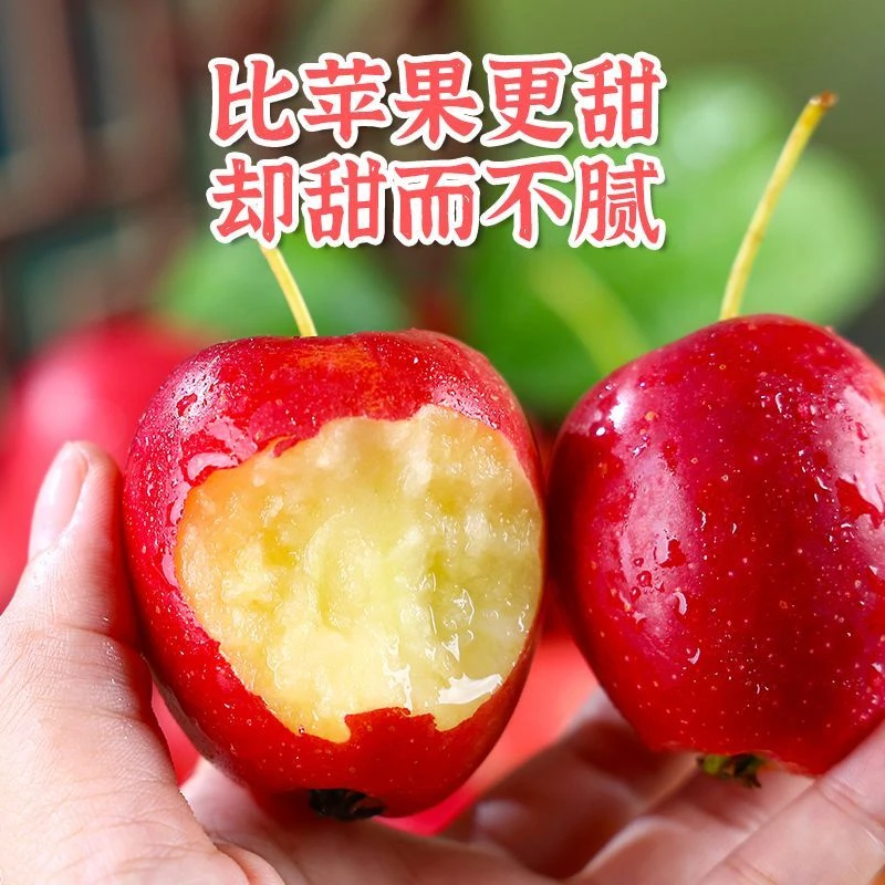 【顺丰京东包邮】新疆香妃海棠果鸡心果爆脆爆甜超多
汁25-40克果子