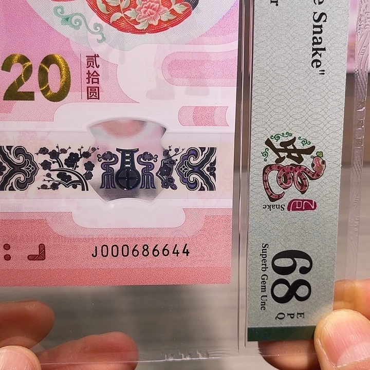 塑料小司令000、尾6644