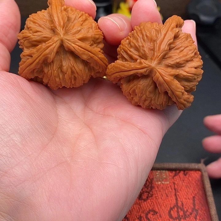 范***伟把件文玩核桃白奔