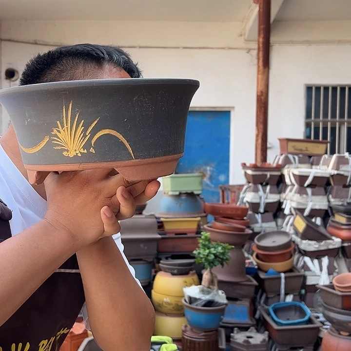 紫砂花盆紫砂花盆