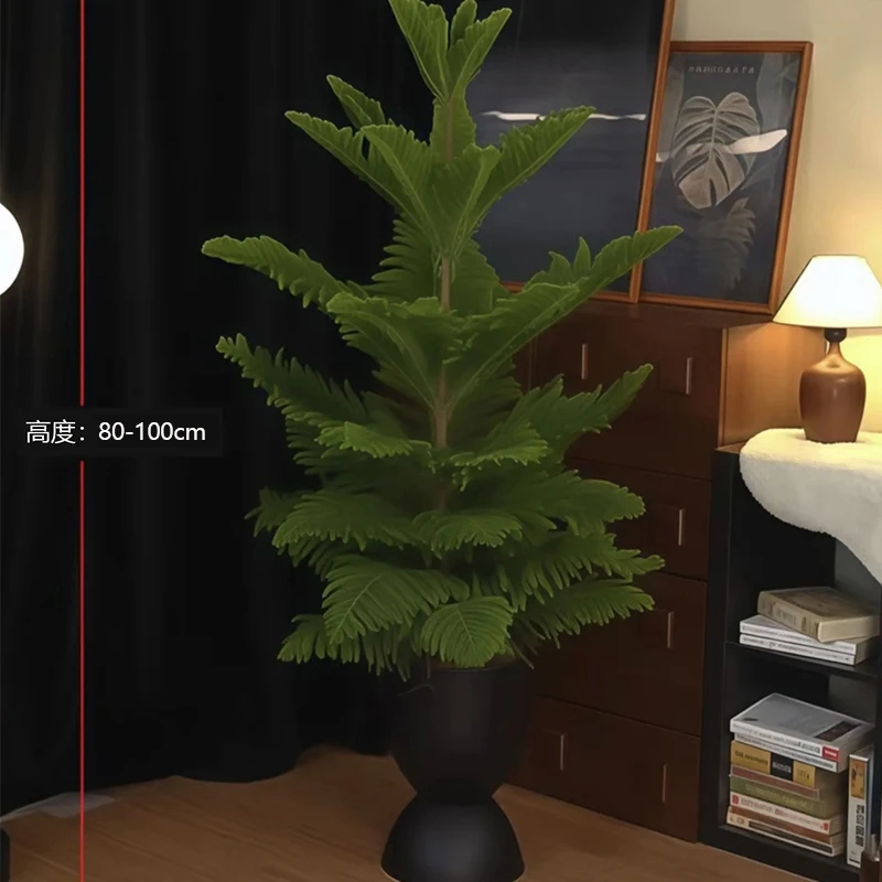 【加高加大80-100cm南洋杉圣诞树】高端绿植南洋杉网红室内客厅