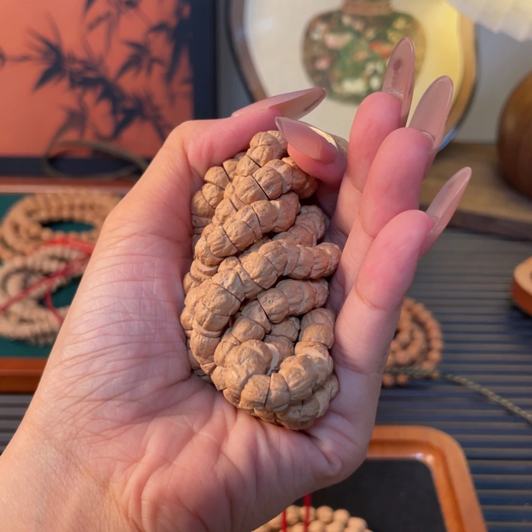 柏木鱼粉皮大肠长串