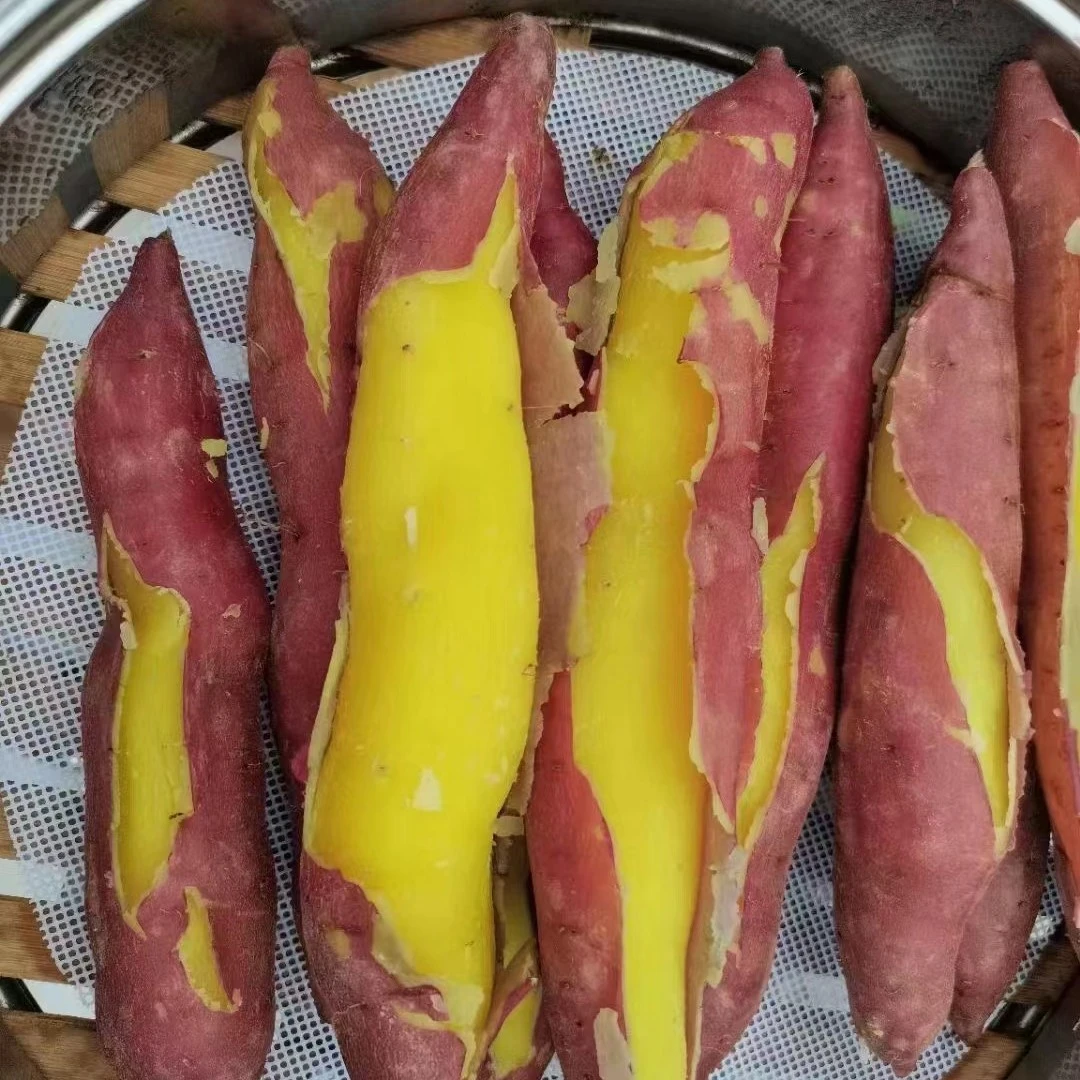 陕西板栗红薯3/5/9斤干面粉香甜地瓜健康红薯沙地番薯板栗薯粗粮