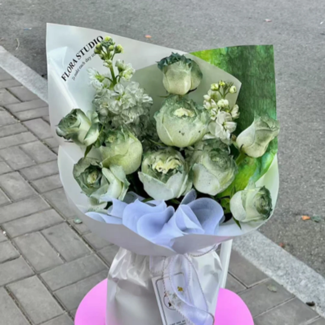 九支苏格兰绿➕白色紫罗兰 油画风