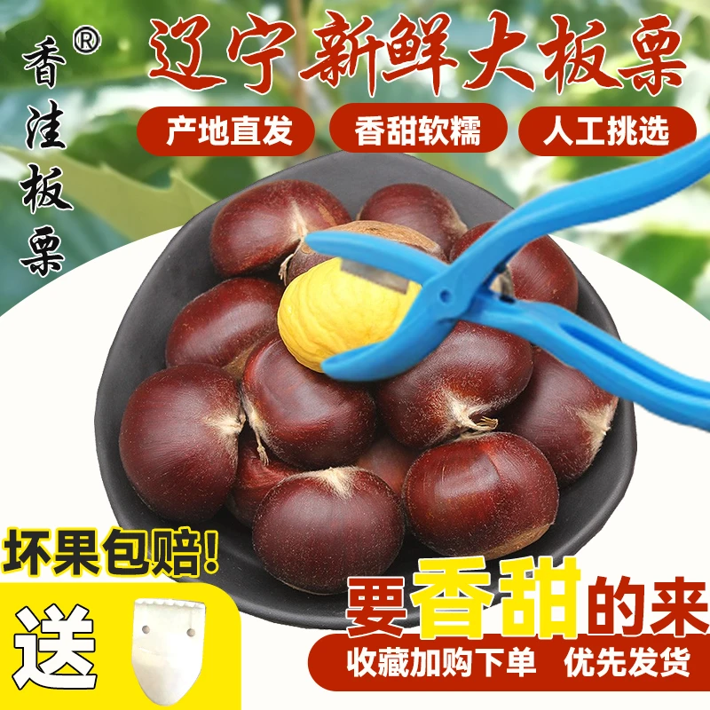 【香洼板栗】板栗小油栗生栗子新鲜板栗生栗子正宗栗子纯天然板栗