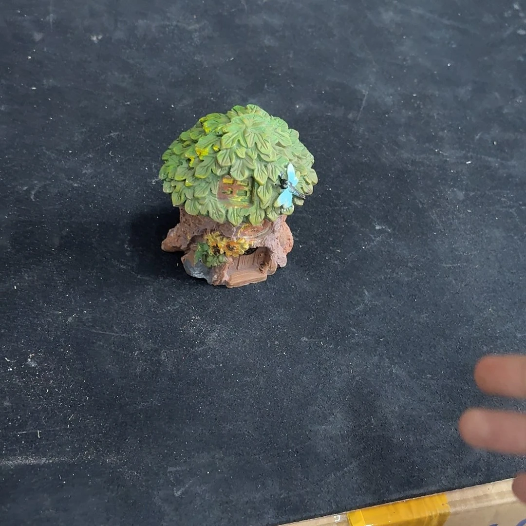 核桃木/黑胡桃（胡桃木）