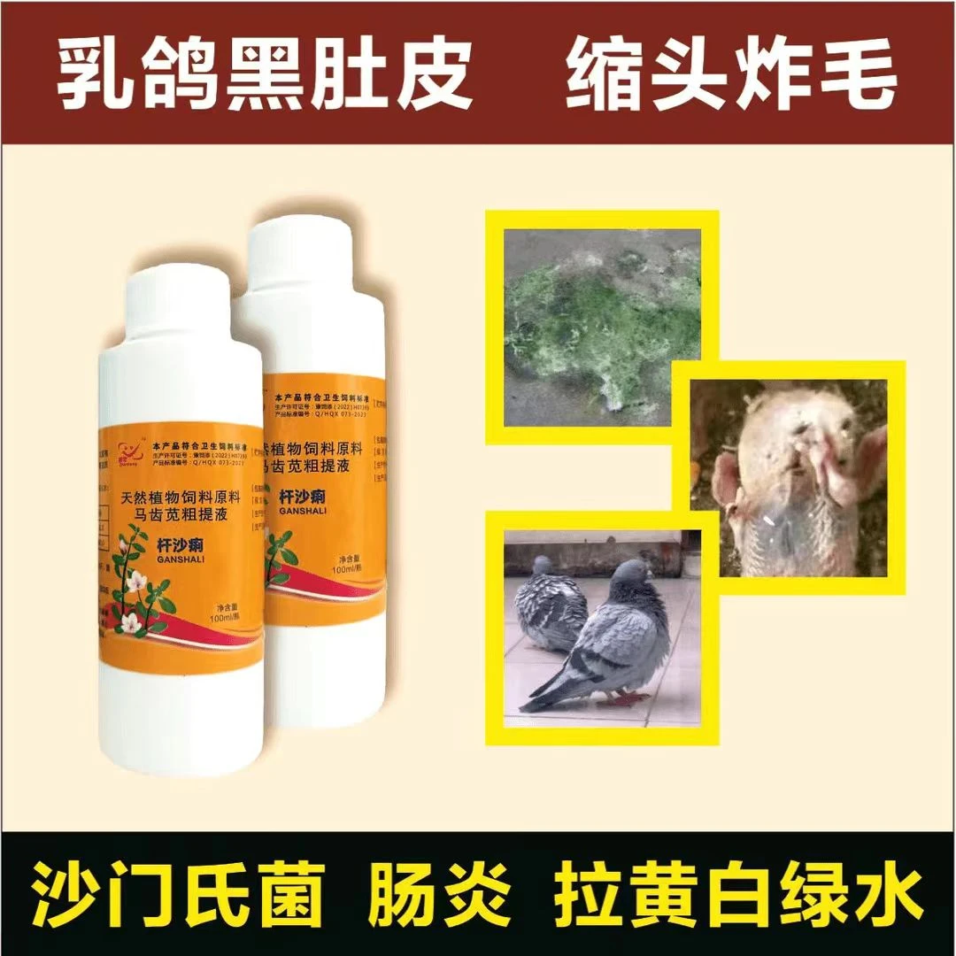 杆沙痢；鸽子菌痢口服护理乳鸽黑肚皮黄白绿稀便缩头炸毛鸽子药