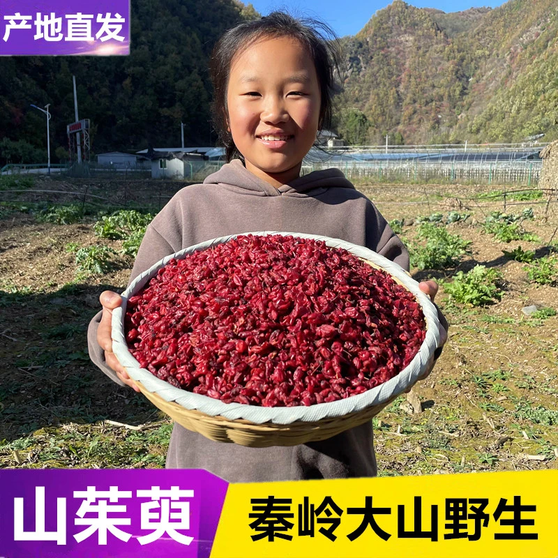山茱萸秦岭野生山茱萸无核野山萸肉去核枣皮山芋肉中药材泡水泡酒