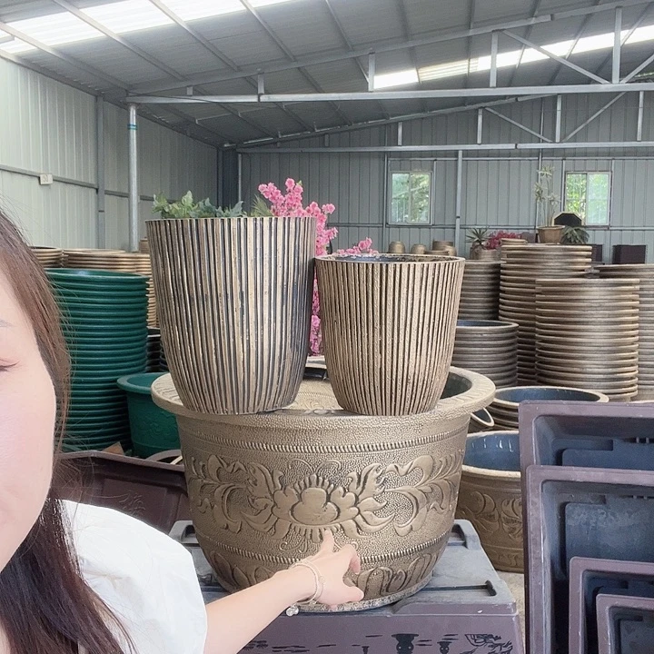 盆景8889989559988999