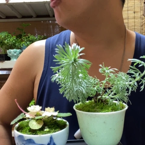 红陶闲**?一物一拍所见即所得119