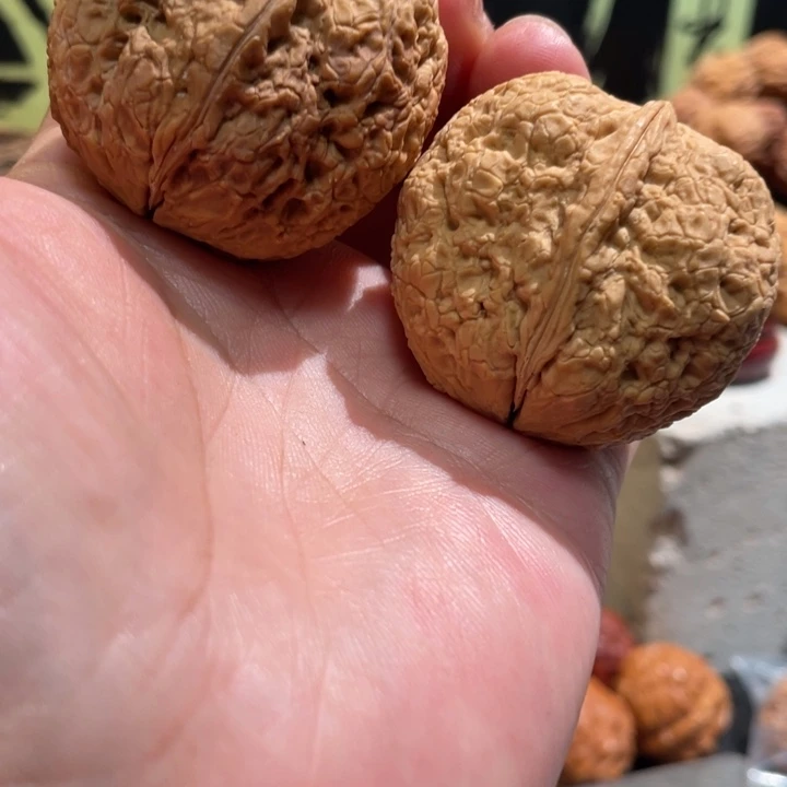 文玩核桃把件编号3