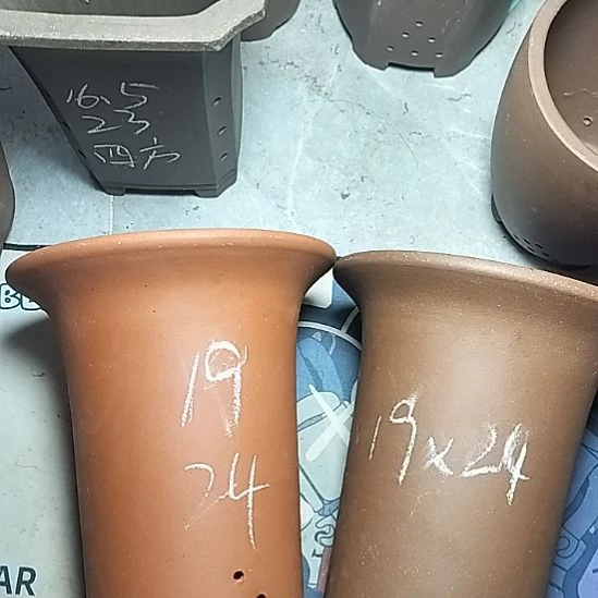 大红大紫兰花两个花盆