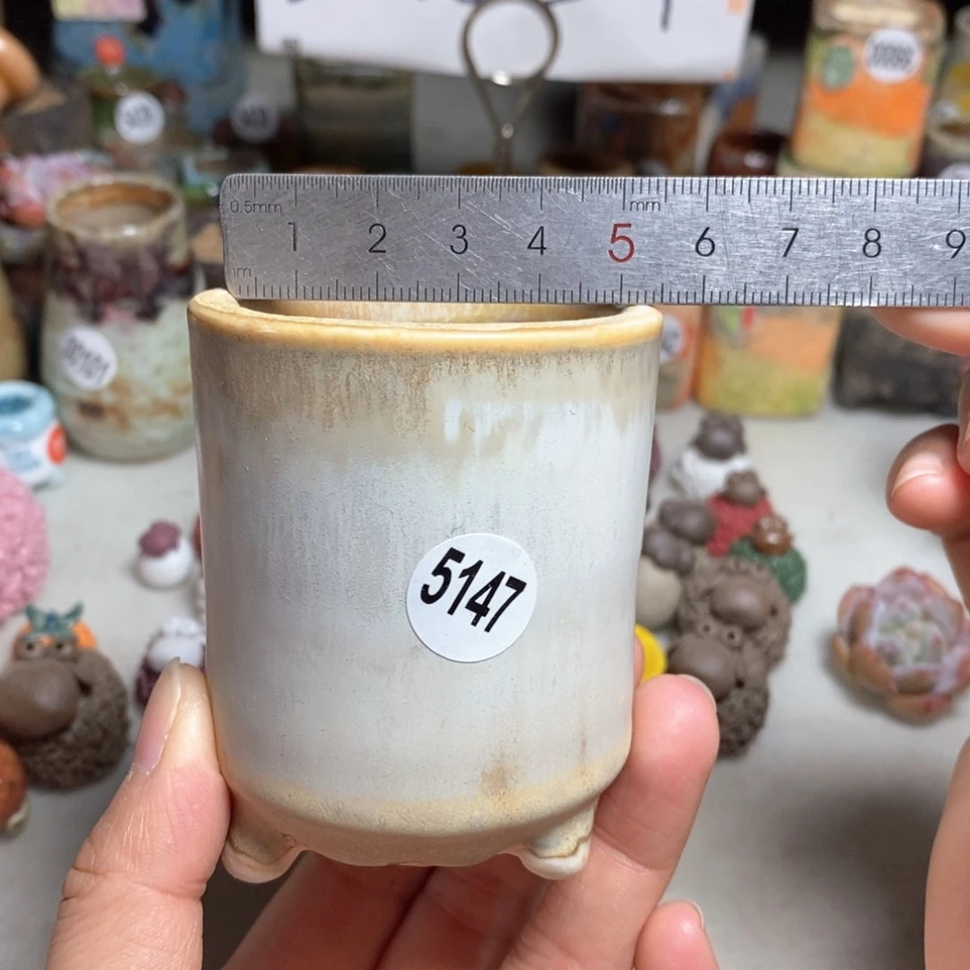 拍5送一个小礼物