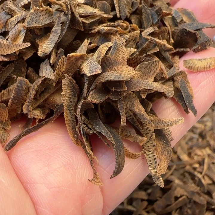 沉香摆件紫罗兰20克切丝老料