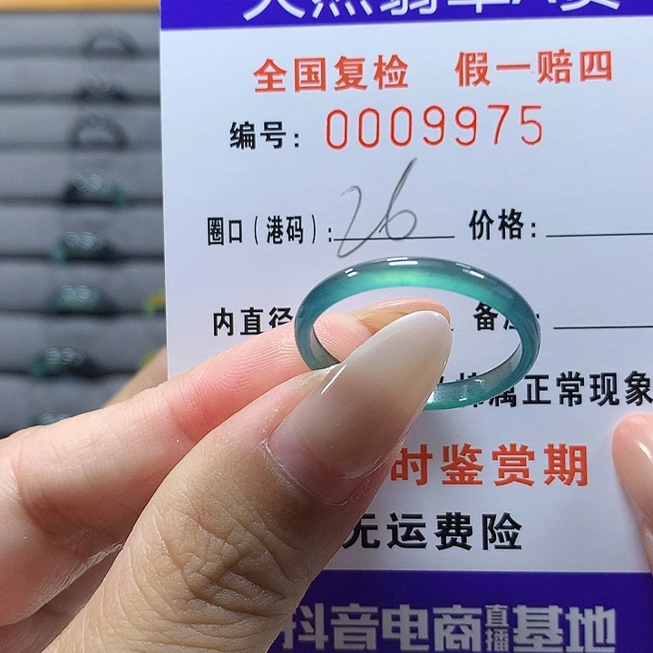 四***海未镶嵌戒圈翡翠9975